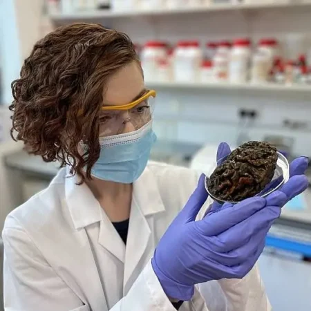 Alexandra Morton-Hayward