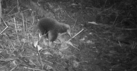 Foto: Universidade de Oxford/Expedition Cyclops