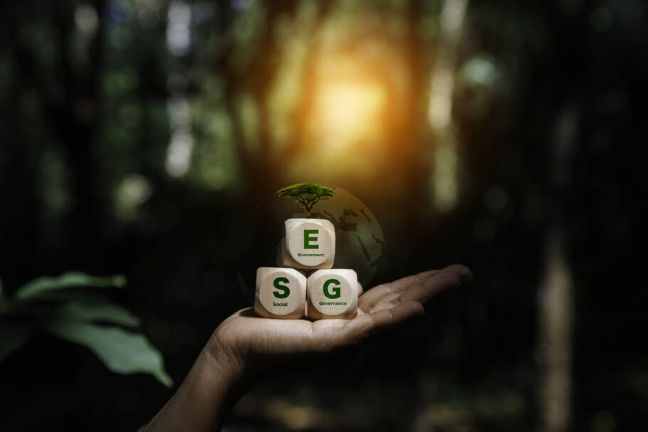 A qualificação em ESG se tornou um diferencial competitivo para profissionais e empresas