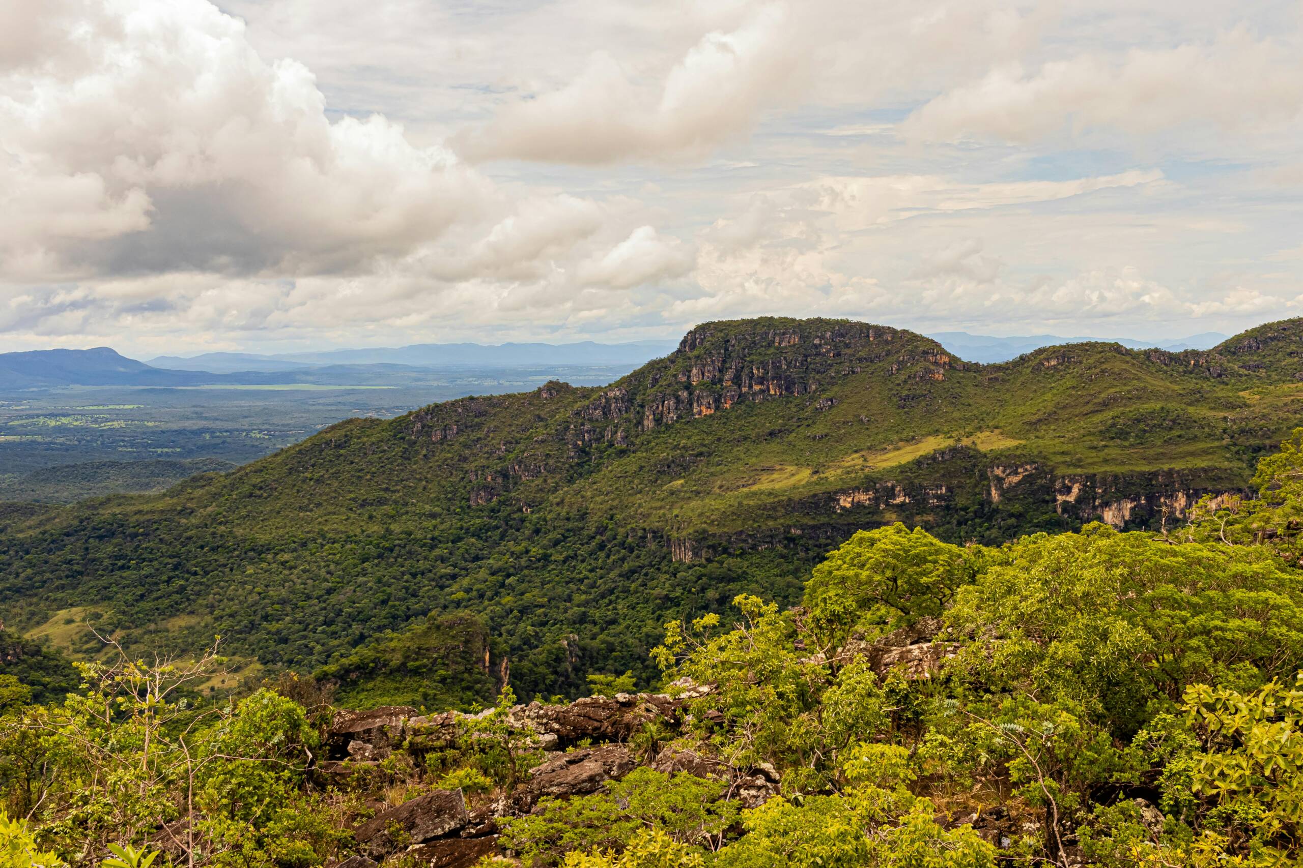 Foto: Paulo Gustavo Modesto/Pexels