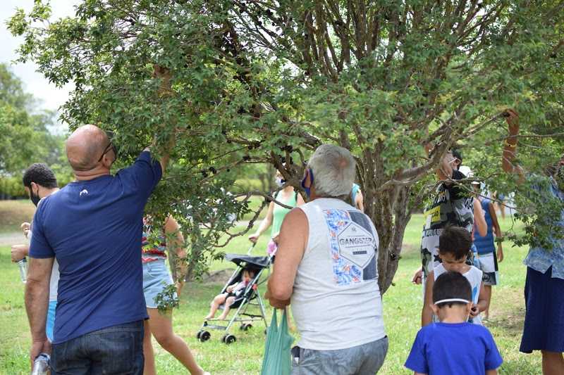 Experiência custa R$ 25,00 por pessoa, com direito ao consumo ilimitado no local