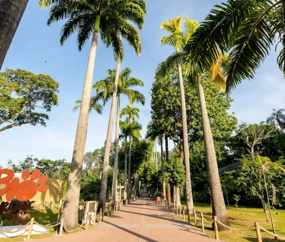 O BioParque do Rio é uma das atrações turísticas administradas pelo Grupo Cataratas