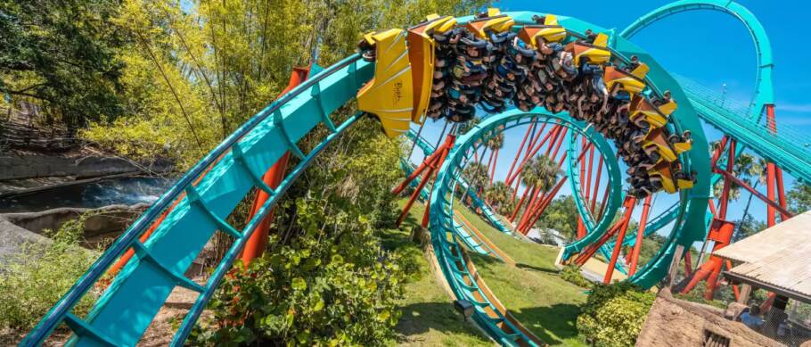 Busch Gardens Tampa Bay também conta com montanhas-russas
