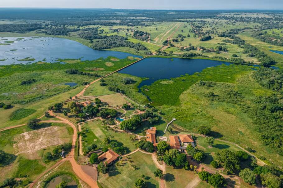 Caiman, em Miranda, no Pantanal sul-mato-grossense, vista do alto