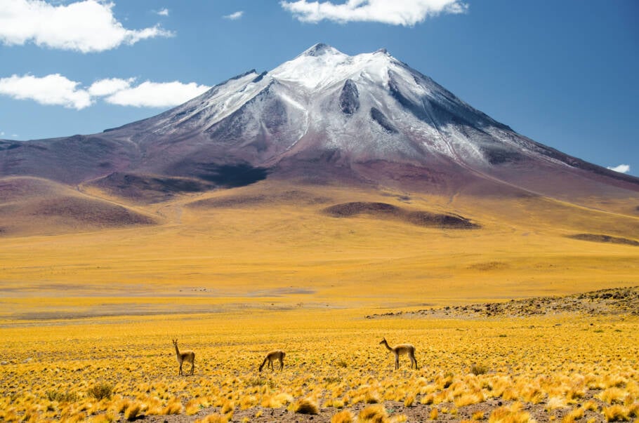 Jornada fotográfica no Deserto do Atacama, no Chile, guiada pelo fotógrafo Bob Wolfenson, tem como foco as paisagens únicas e a cultura local