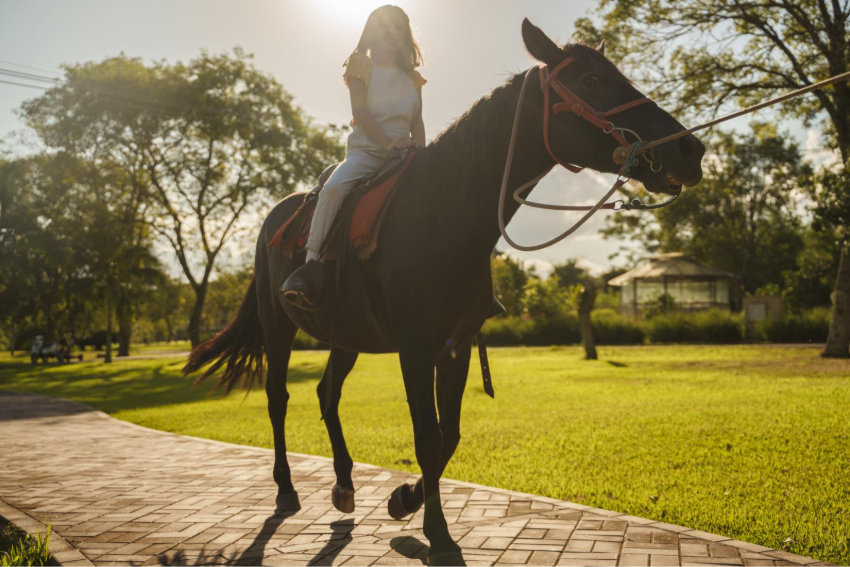 A programação infantil é organizada por faixa etária