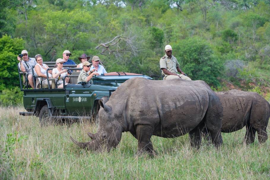 Sabi Sabi Private Game Reserve oferece passeios guiados pela savana sul-africana