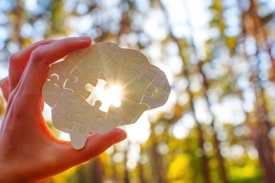Hand holding a puzzle piece shaped like a brain, sunlight shining through in a forest setting.