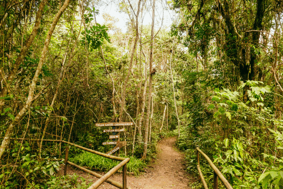 Trilha Interparques conta com percurso de 182 km interligando Unidades de Conservação municipais, represas e reservas particulares na zona sul
