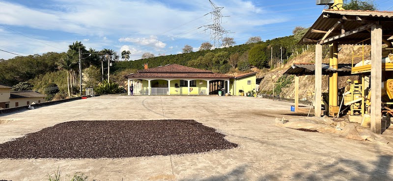 Terreiro usado para secagem dos grãos de café ao sol