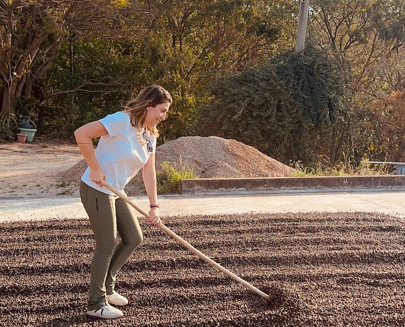 A experiência na fazenda de café