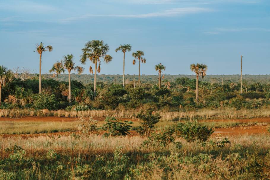 área da Pousada Trijunção, que fica no coração do Cerrado, na divisa entre os estados da Bahia, Goiás e Minas Gerais.
