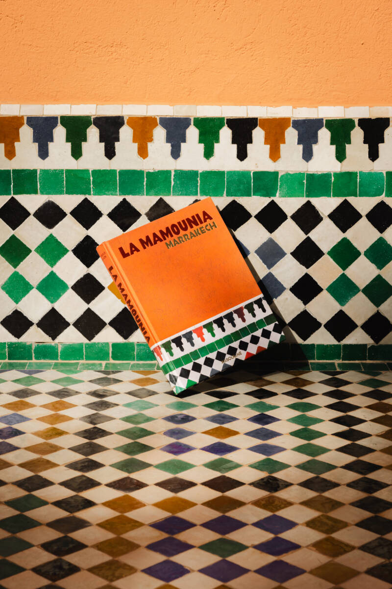 O livro foi escrito pelo jornalista e autor francês Laurence Benaïm