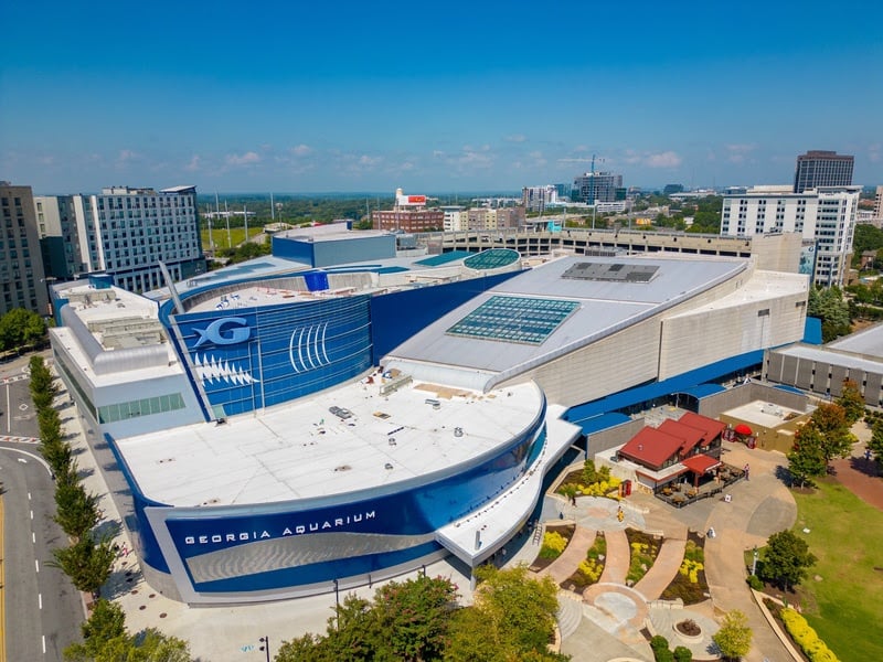 O Georgia Aquarium é uma das atrações para conhecer em Atlanta