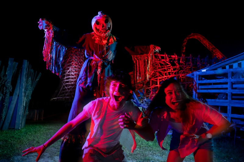 Tampa Bay segue sendo um dos melhores destinos da temporada das bruxas na Flórida