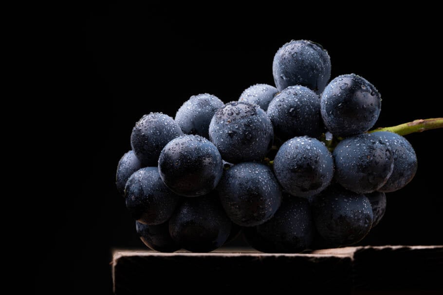 Uvas Boombites possuem níveis de antioxidantes comparáveis aos dos mirtilos e até três vezes mais resveratrol