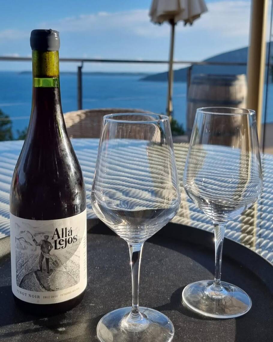 Vinho Allá Lejos feito com uvas cultivadas na região mais austral da Patagônia Chilena, especificamente em Chile Chico, Aysén