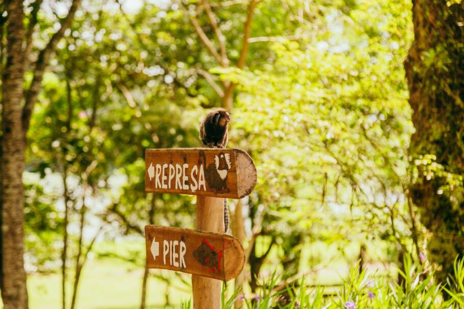 Além da extensa área verde, o trajeto oferece estruturas como píeres com vista para a represa Billings