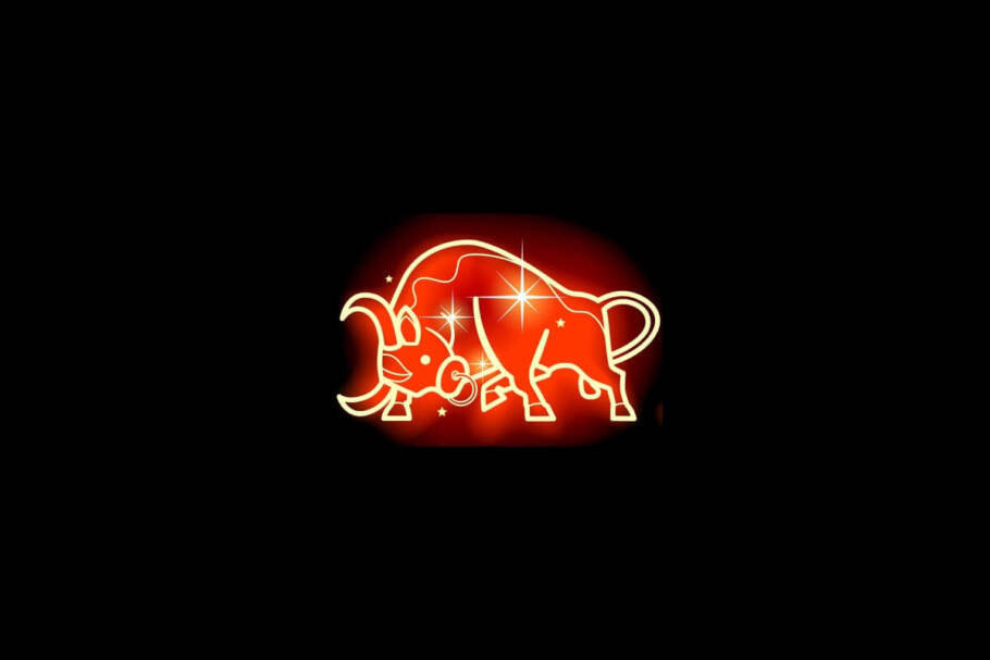 Escorpião e Touro são opostos complementares e, por isso, têm muito o que aprender juntos (Imagem: Maisei Raman | Shutterstock)