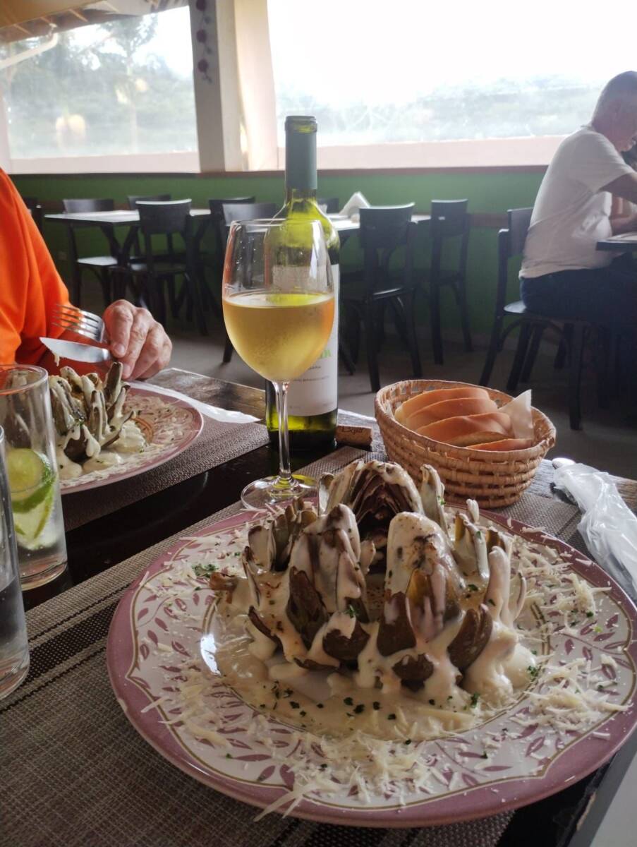 Restaurantes, plantações e até vinícolas atraem turistas em busca dos sabores da flor típica da gastronomia da região