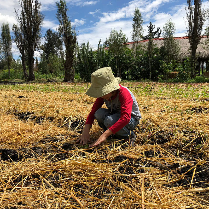 Experiências nativas são a atração principal da Arca Tierra, perto da capital mexicana