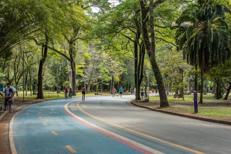 No Parque Ibirapuera, é possível pedalar em meio ao verde e contemplar a natureza (Imagem: Stefan Lambauer | Shutterstock)