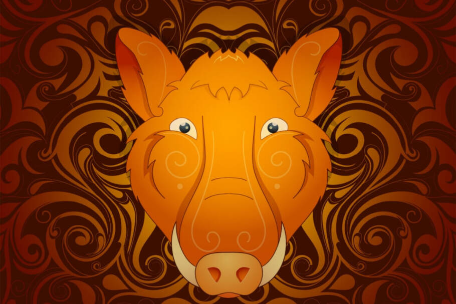 Os nativos do Javali poderão realizar escolhas importantes no mês de novembro (Imagem: AKV | Shutterstock)