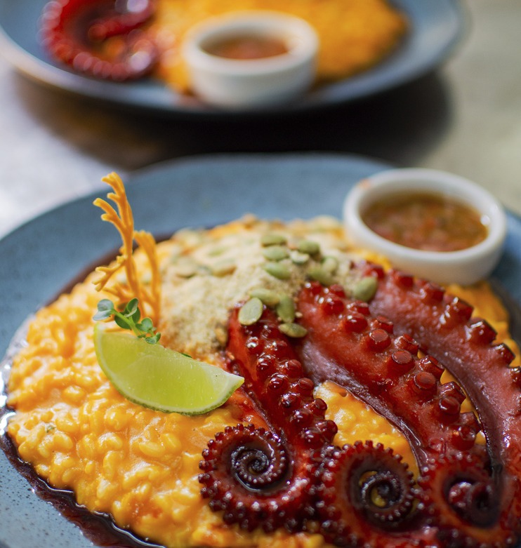 Polvo com mel do engenho do Pico