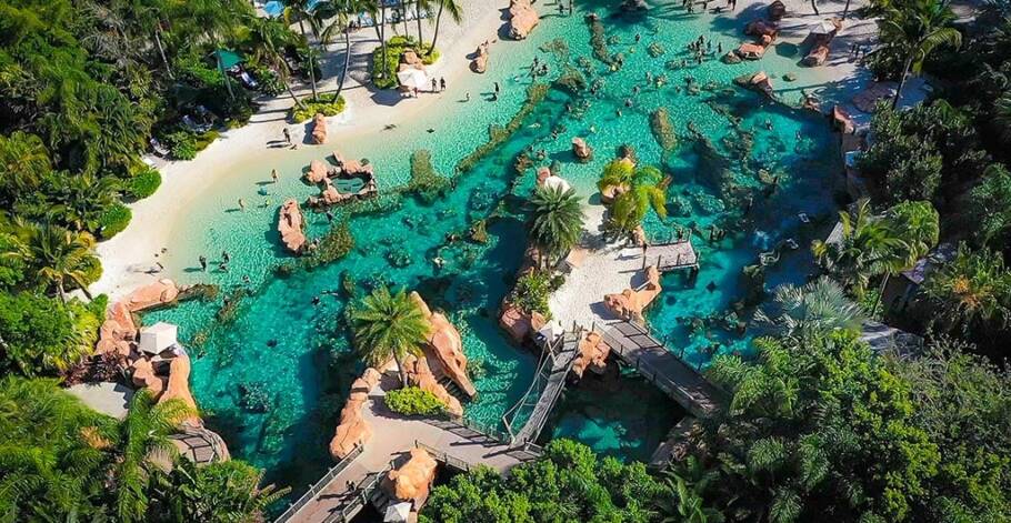 Discovery Cove está com ingressos promocionais na campanha de Black Friday da Black Friday