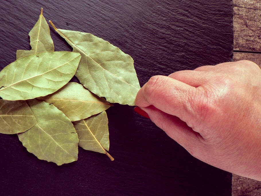 Velha conhecida da culinária, a folha de louro pode ter outras utilidades em casa