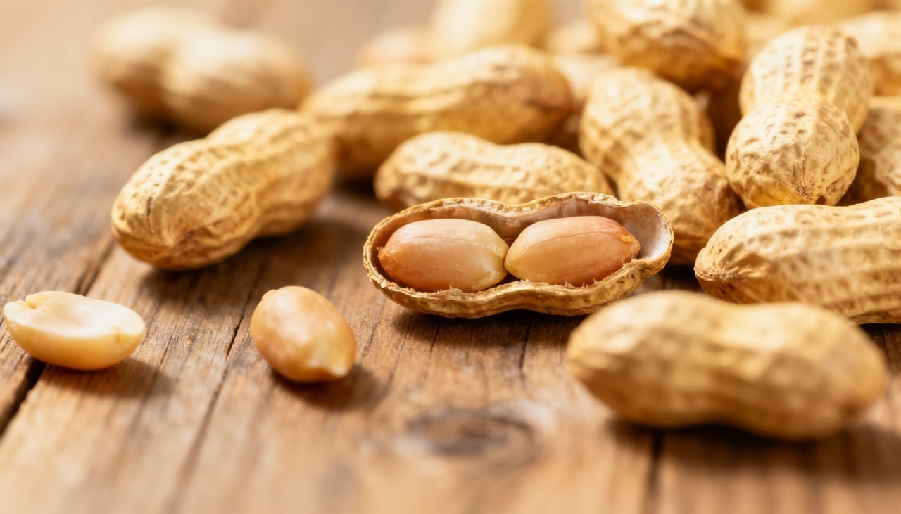 O amendoim é altamente energético devido à proporção equilibrada de gorduras boas e proteínas