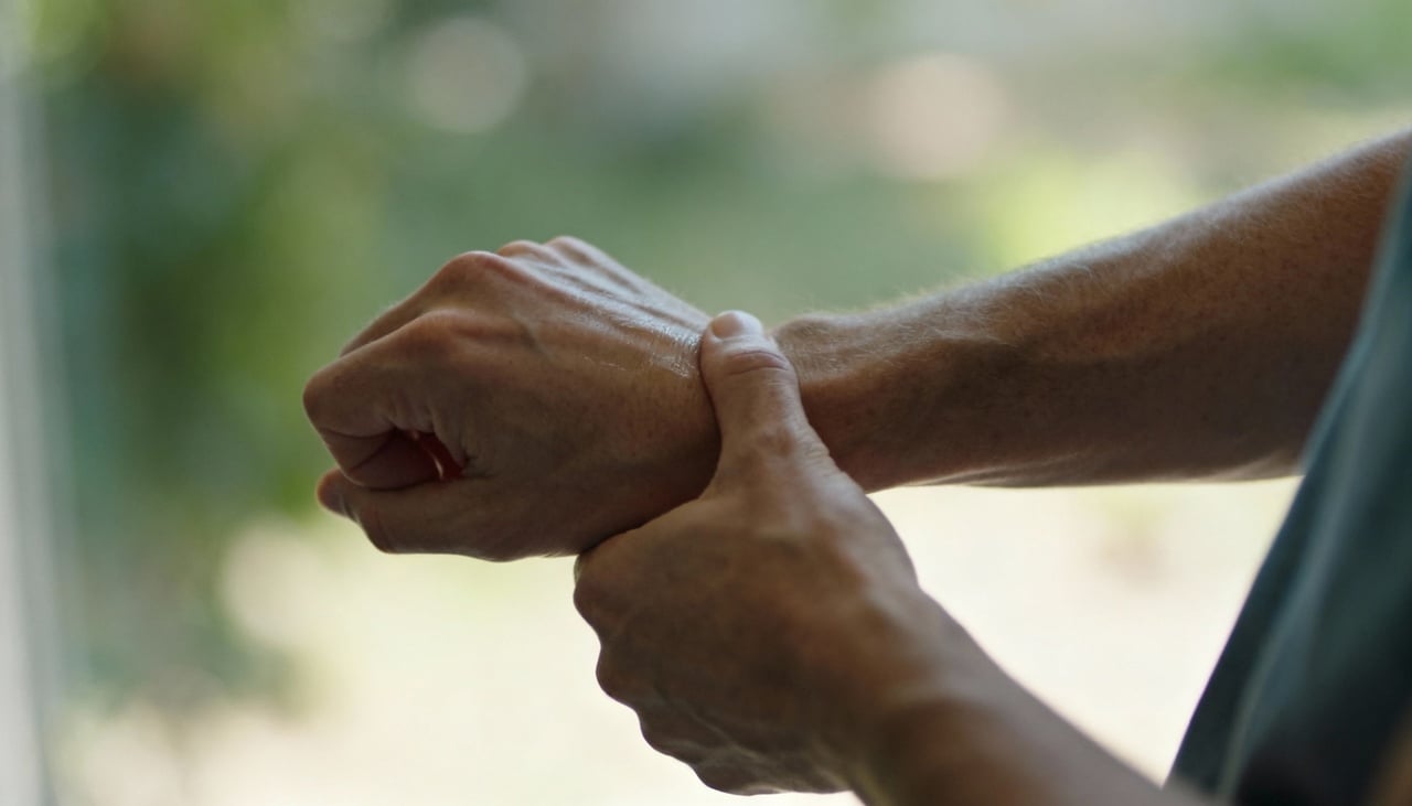 A aromaterapia utiliza extratos naturais de plantas com o objetivo de promover bem-estar físico e emocional