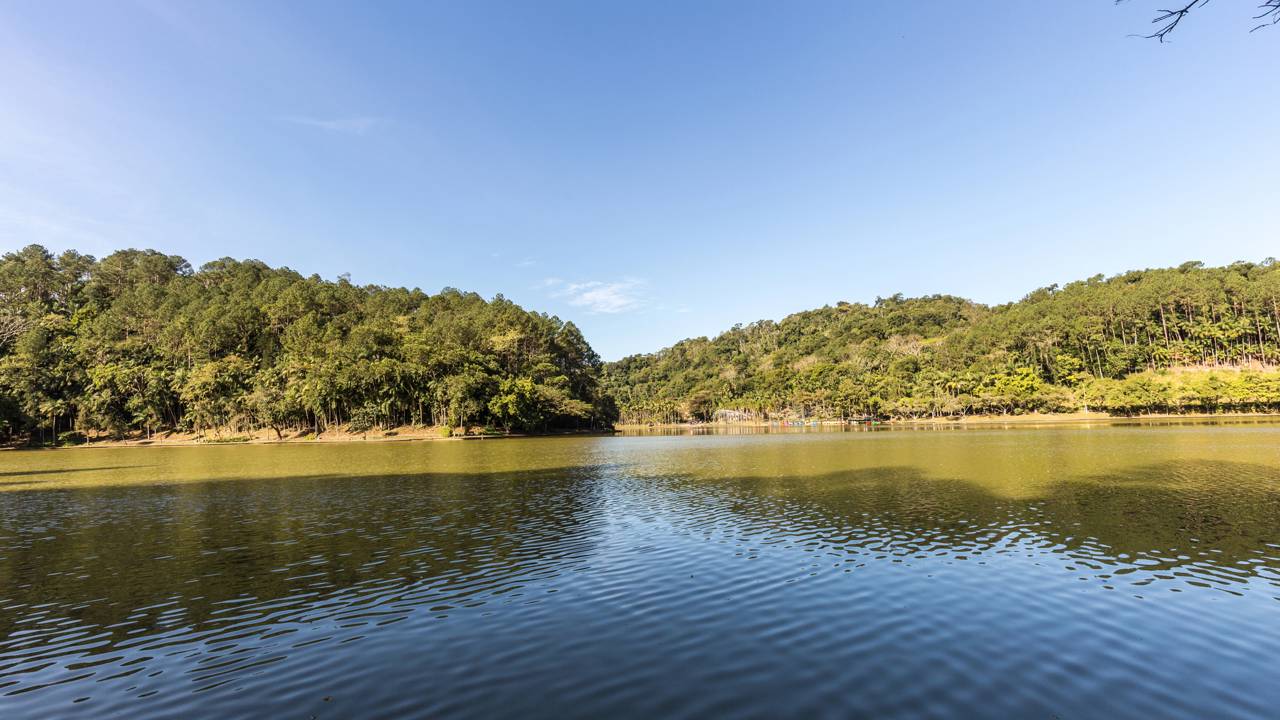 Jaraguá do Sul, em Santa Catarina – Créditos: (depositphotos.com / paulobaqueta)