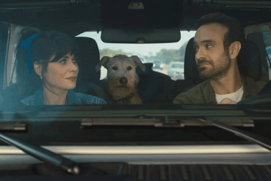 “Merv” explora a convivência de dois ex-cônjuges que precisam colocar as diferenças de lado por causa do cão da família (Imagem: Reprodução digital | Amazon MGM Studios)