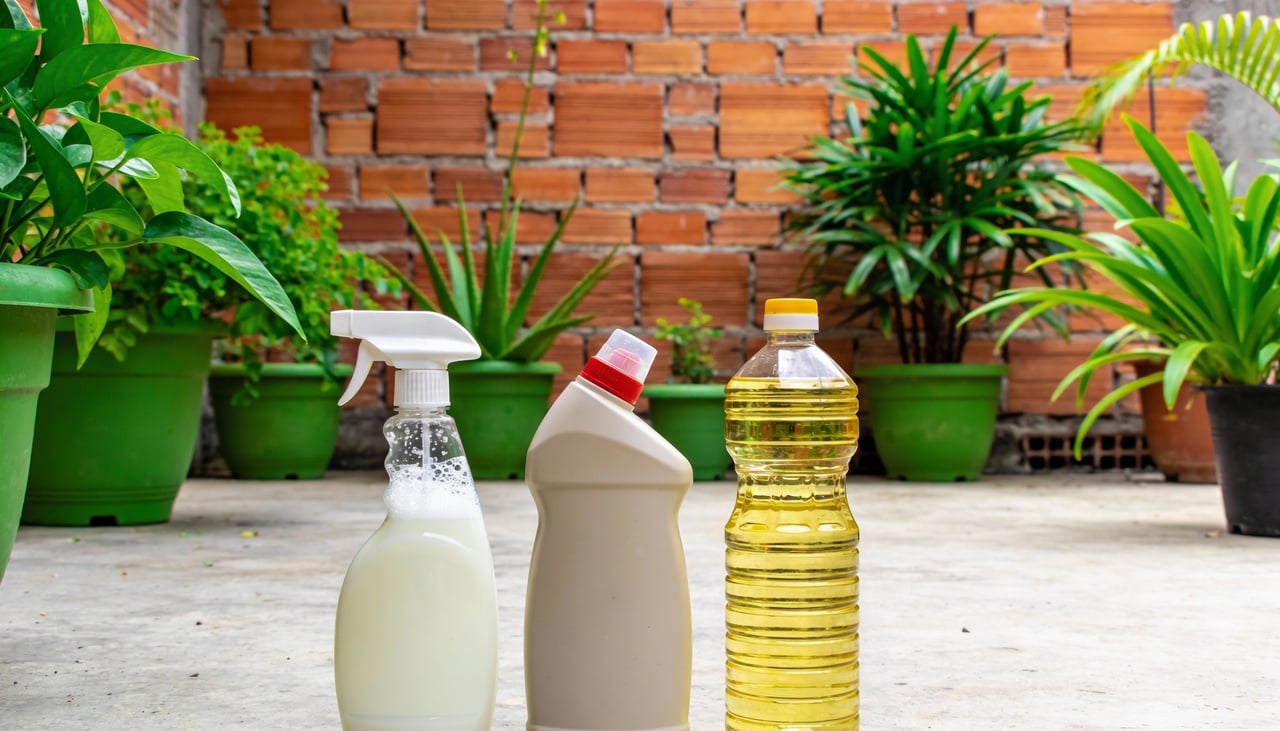 A eficácia dessa receita está na ação física dos ingredientes sobre os insetos, e não química como nos agrotóxicos pesados