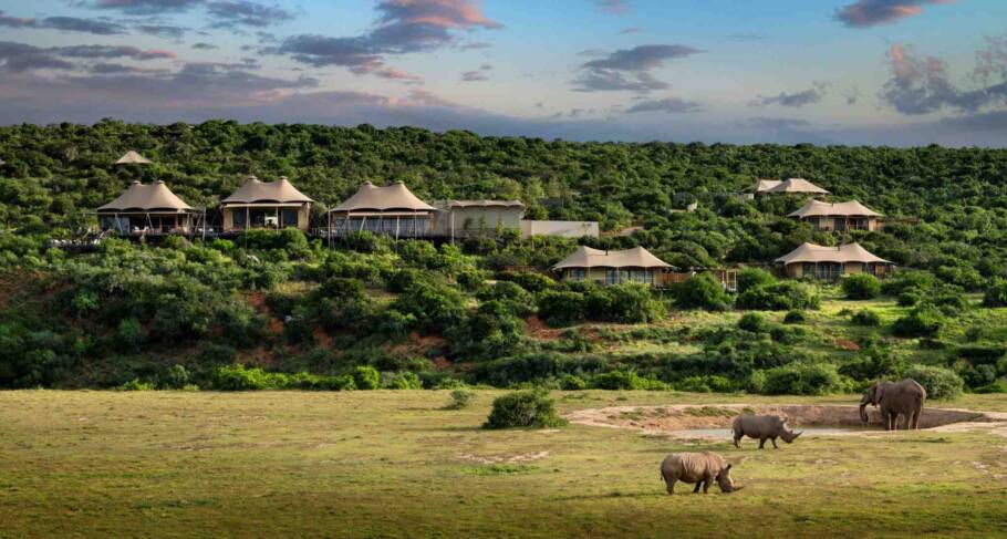 Shamwari Private Game Reserve é uma das maiores reservas privadas da África do Sul