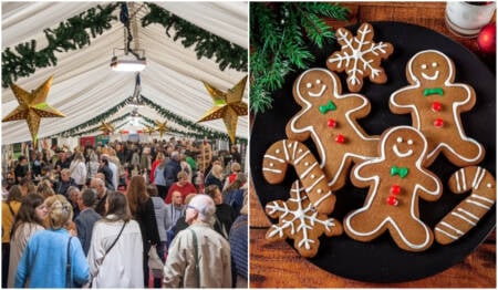 Feira Vegnice – Edição Especial de Natal, na Praça dos Arcos, em SP