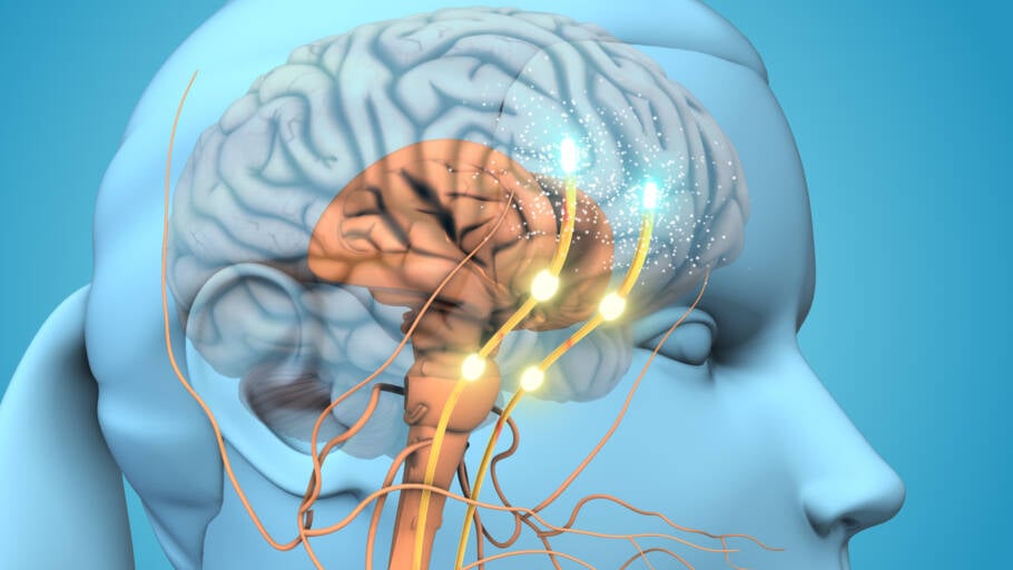 Praticar gratidão diariamente é um dos caminhos para a felicidade, segundo a ciência