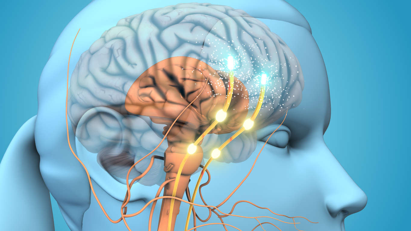Proteína descoberta no cérebro pode abrir caminho para frear o Parkinson