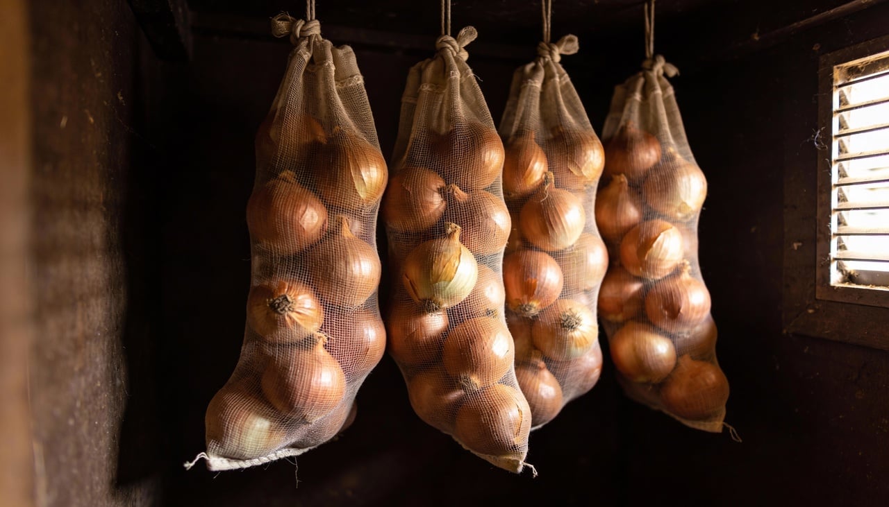 Um dos erros mais comuns no armazenamento de vegetais é colocar cebolas e batatas no mesmo local