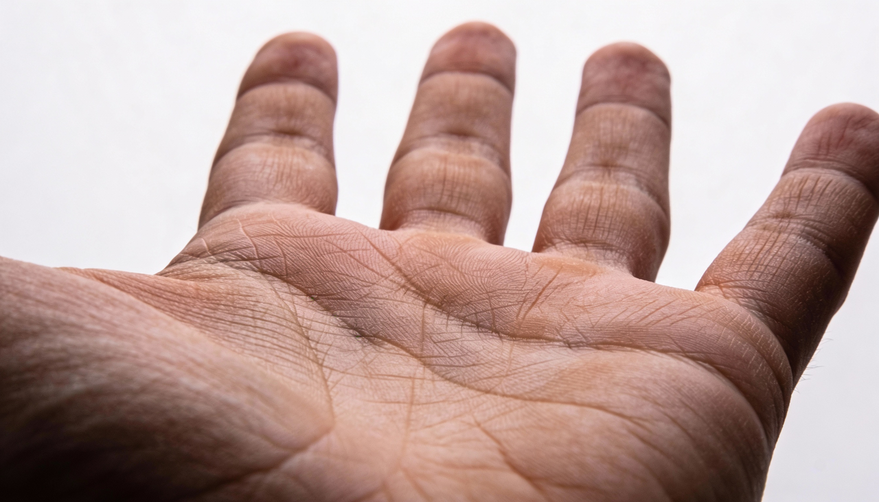A quiromancia analisa as linhas e os montes das mãos para entender as inclinações da nossa jornada