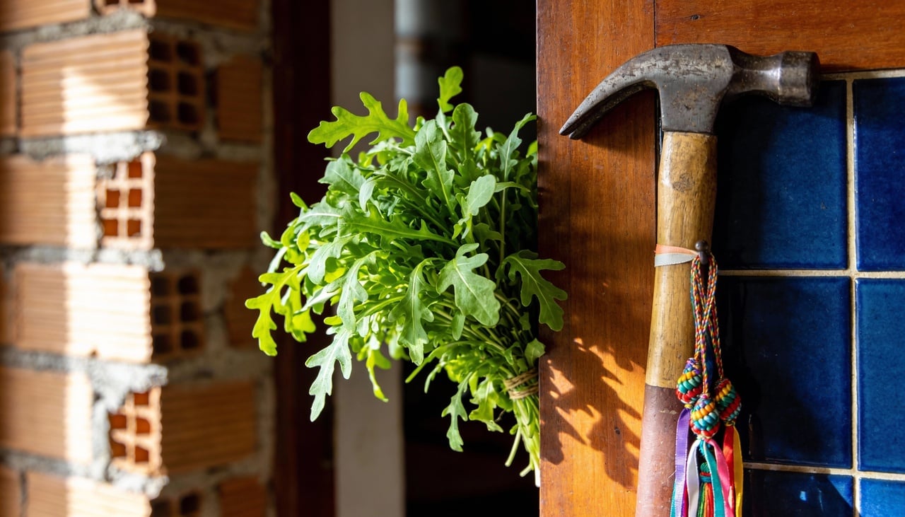 Além do uso em simpatias com o ramo fresco, a arruda está presente em defumações e banhos energéticos