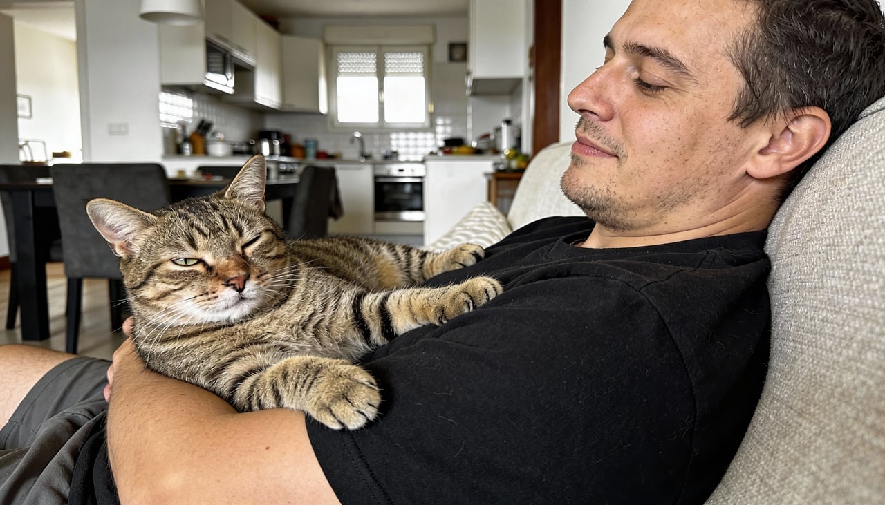 O ronronar do gato é um som rítmico e contínuo, de baixa frequência, produzido pela contração dos músculos da laringe