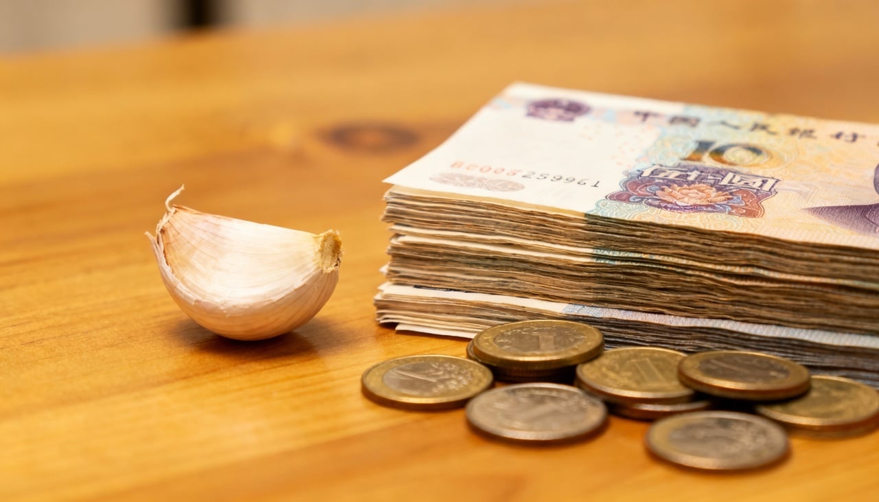 Desde a antiguidade, o alho é reverenciado não apenas por suas propriedades culinárias e medicinais – Imagens produzidas com uso de Inteligência Artificial