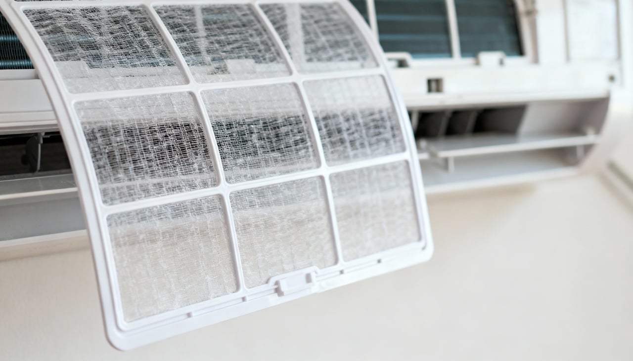 Pessoas com sensibilidade, como crianças, idosos e portadores de asma, sentem rapidamente os efeitos de um ar mais limpo