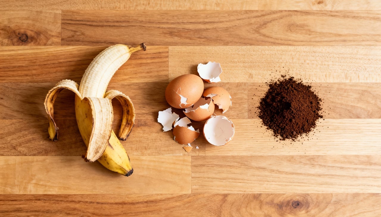 Para resolver esse déficit nutricional, você não precisa gastar com produtos químicos caros vendidos em lojas de jardinagem