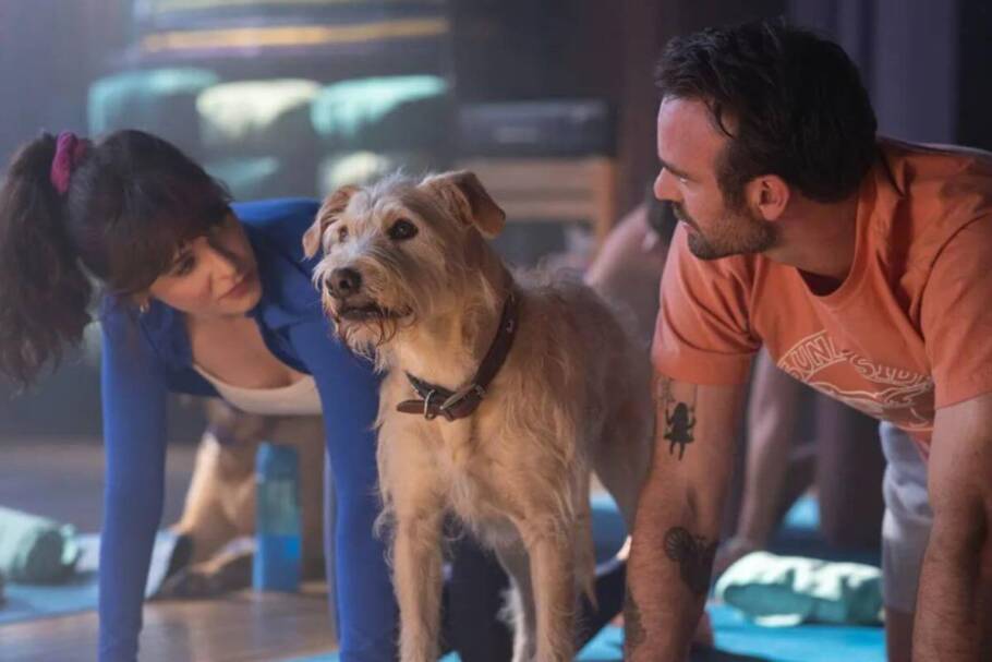 “Merv” conta a história de um casal que se separa e precisa dividir a guarda de seu cachorro (Imagem: Reprodução digital | Amazon MGM Studios)