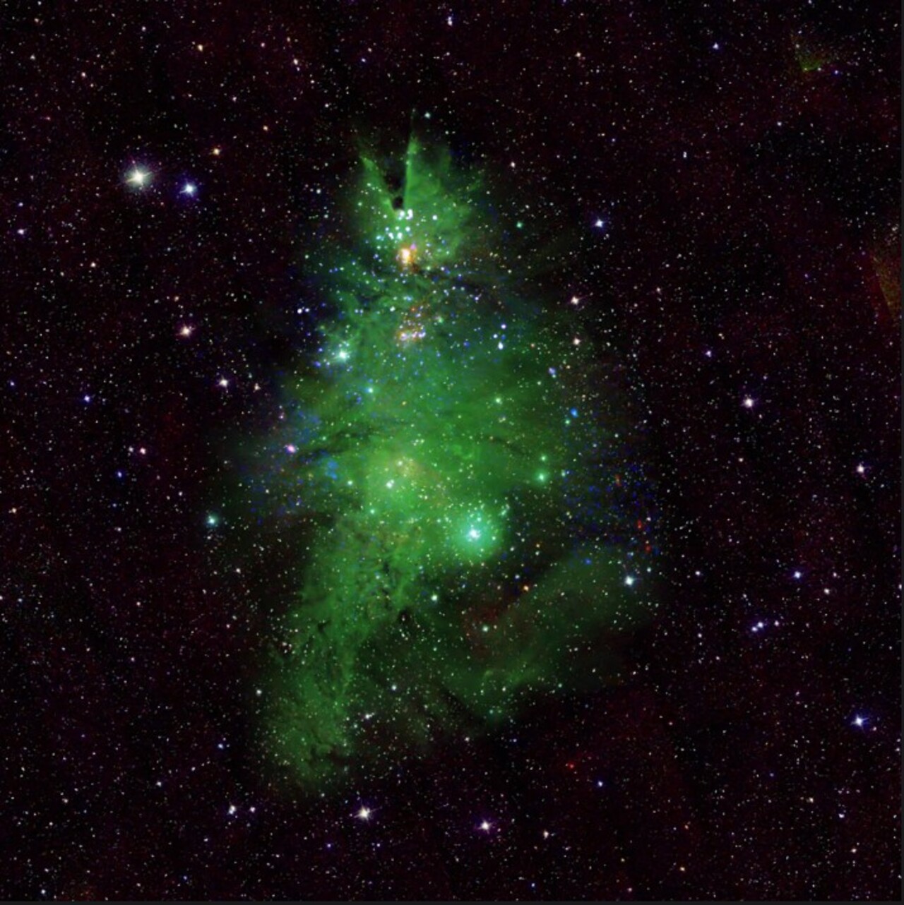O nome Árvore de Natal Cósmica surgiu por causa do padrão triangular formado pelas estrelas jovens do aglomerado – Créditos: (NASA/NSF/IPAC/CalTech/Universidade de Massachusetts)