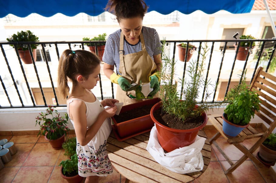 O alecrim é a planta que elimina energia parada, purifica o ar e ainda perfuma naturalmente a casa