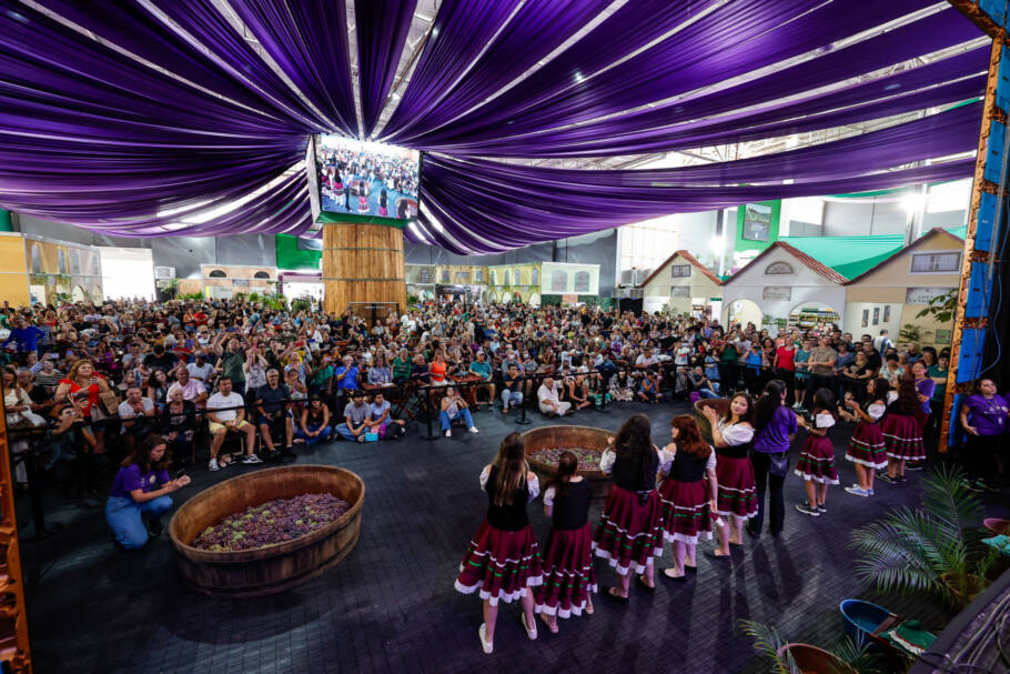 Pisa da uva é um dos momentos mais aguardados da festa